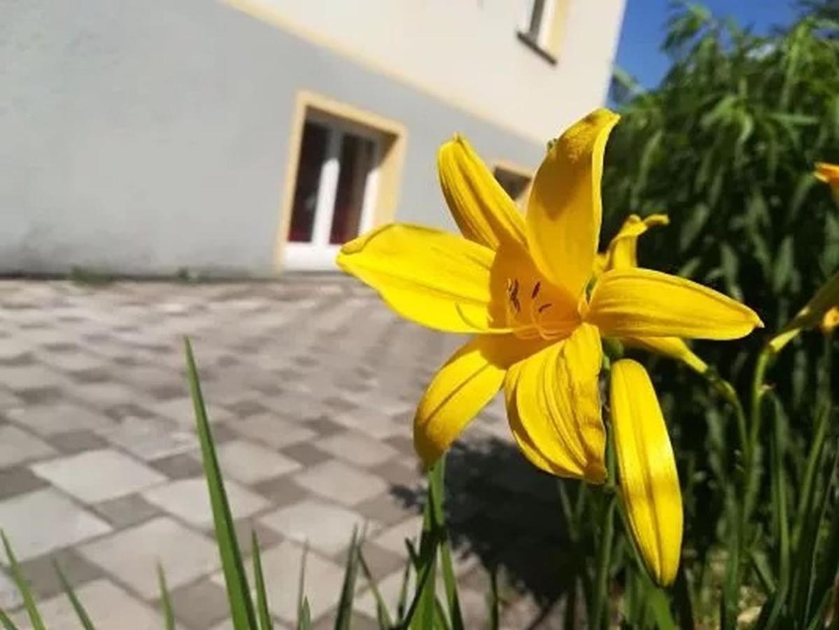 Haus Am Apfelbaum Lejlighed Bad Säckingen Eksteriør billede