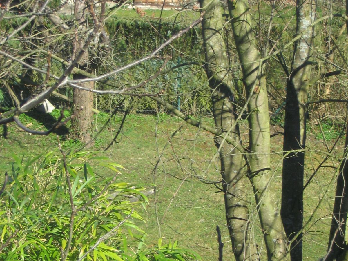 Haus Am Apfelbaum Lejlighed Bad Säckingen Eksteriør billede